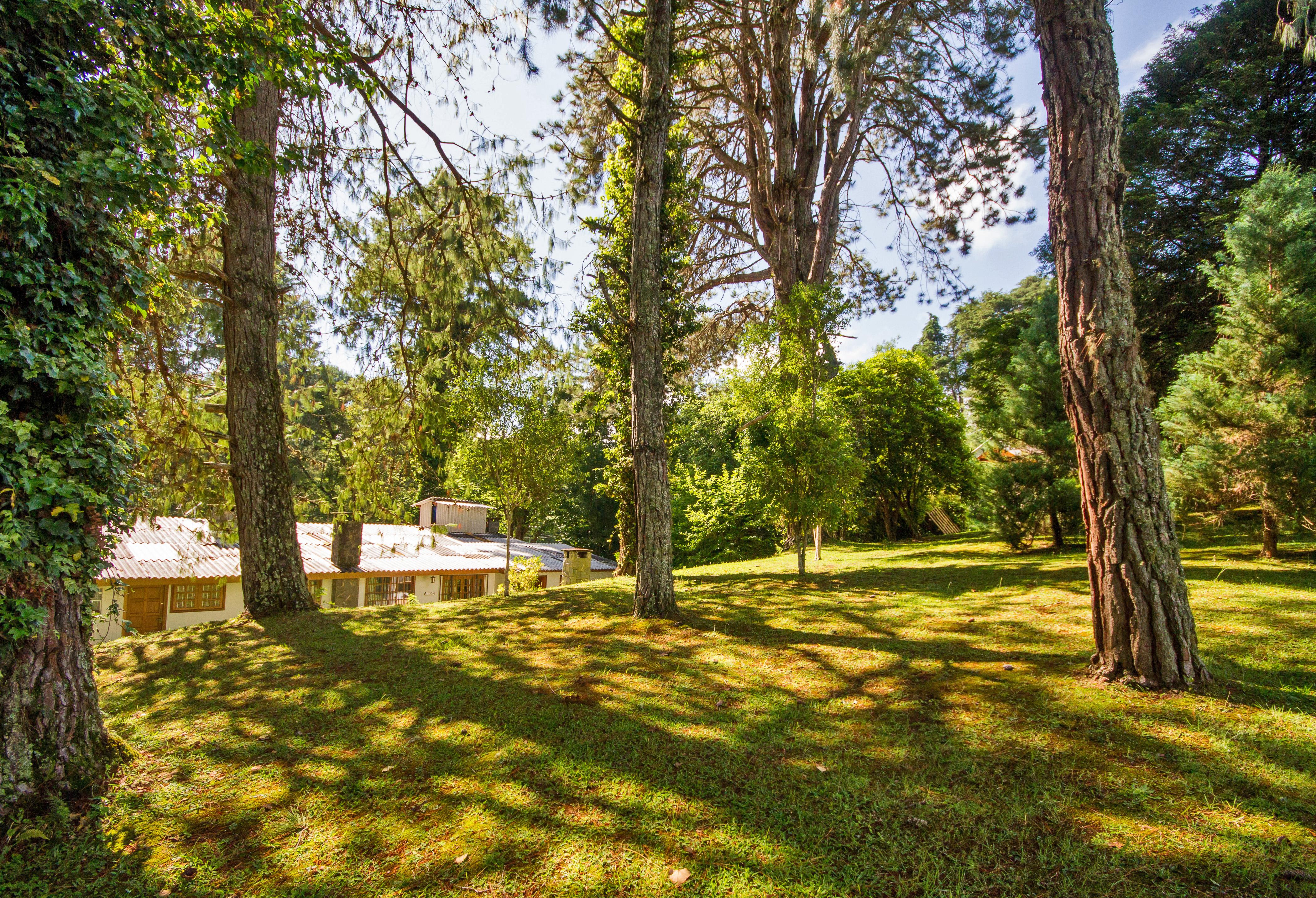 Villa Vintage Campos - Piscina E Opcoes De Suites Com Hidromassagem Campos do Jordão 외부 사진